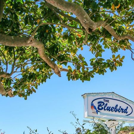 Bluebird Inn 캠브리아 외부 사진