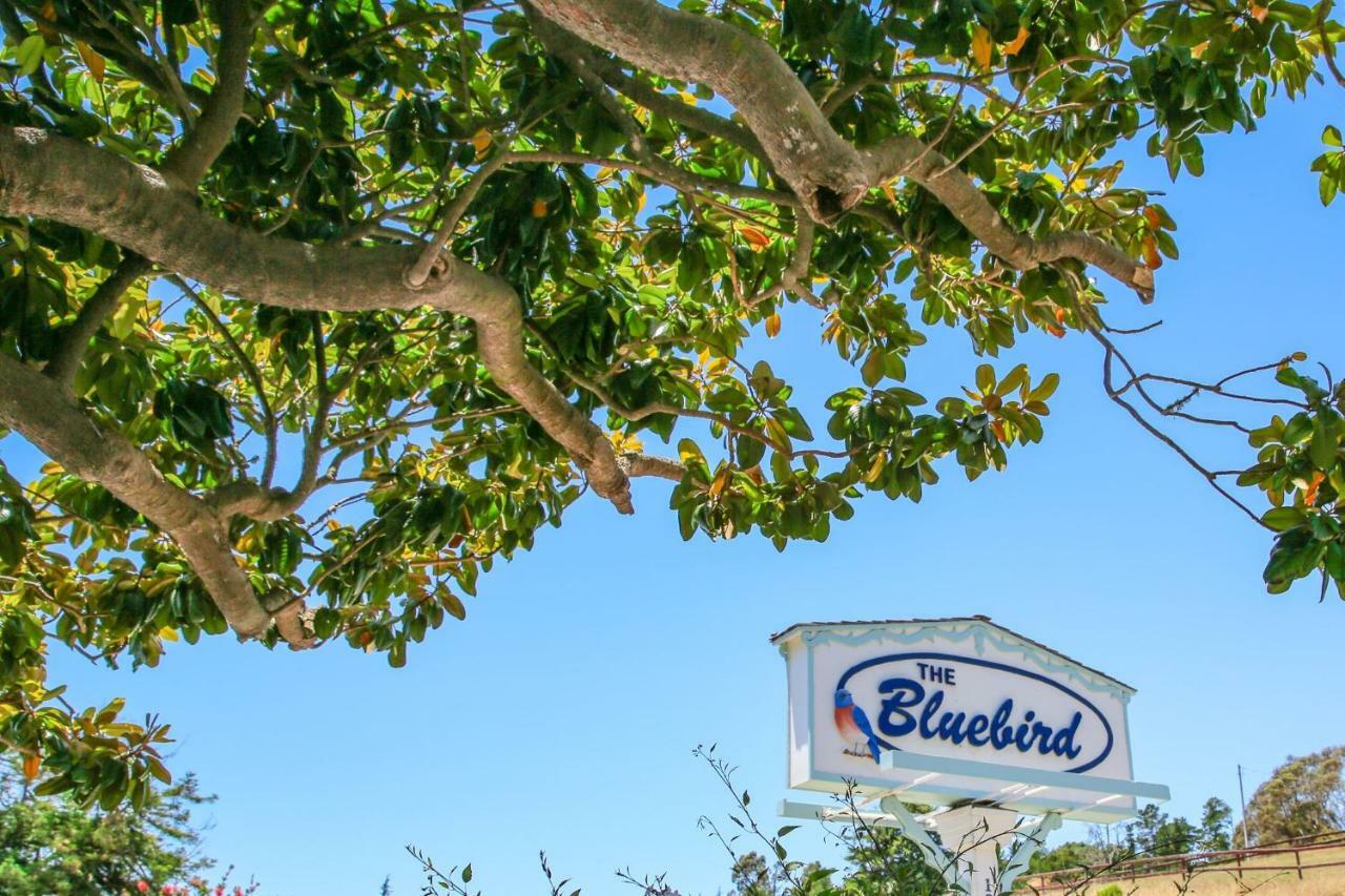 Bluebird Inn 캠브리아 외부 사진